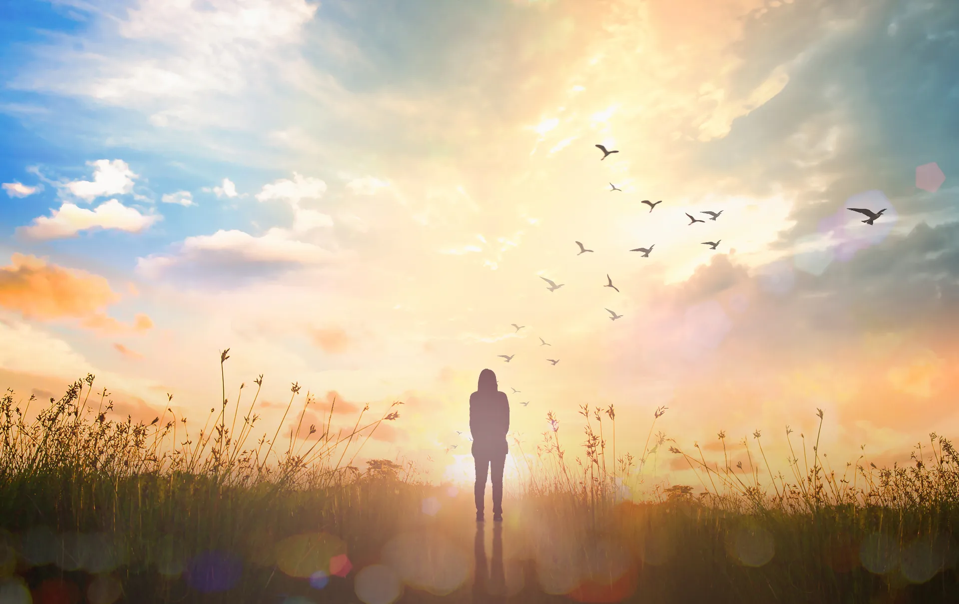 Peaceful sunrise over a field — representing planning ahead with calm and purpose